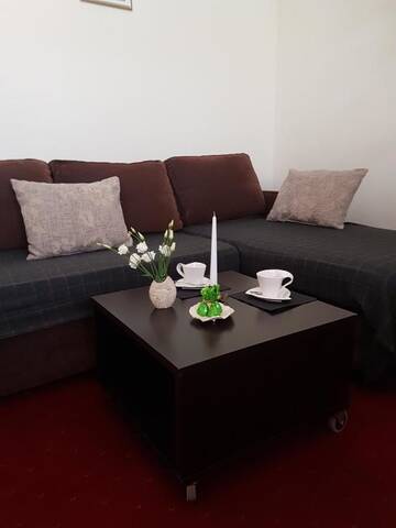 Фото номера Двухуровневые апартаменты (для 2 взрослых) Апартаменты Agneta Apartamentai г. Друскининкай 6