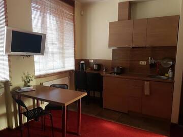 Фото номера Двухуровневые апартаменты (для 2 взрослых) Апартаменты Agneta Apartamentai г. Друскининкай 14