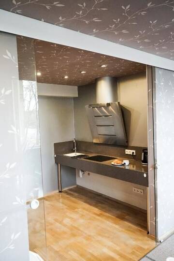 Фото номера Апартаменты с 2 спальнями Гостевой дом Guest House Senasis Pastas г. Друскининкай 18