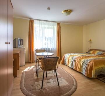 Фото номера Стандартный двухместный номер с 1 кроватью Гостевой дом Aistė Inn Druskininkai г. Друскининкай 7