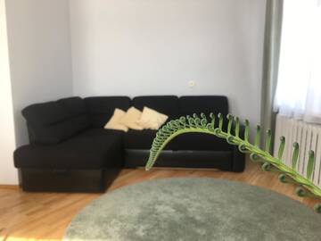 Фото номера Семейный номер Делюкс Гостевой дом Guest House Eurista г. Друскининкай 8
