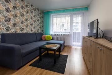 Фото номера Antakalnio street 11 — Апартаменты с 1 спальней Апартаменты Abariaus Apartamentai г. Друскининкай 6