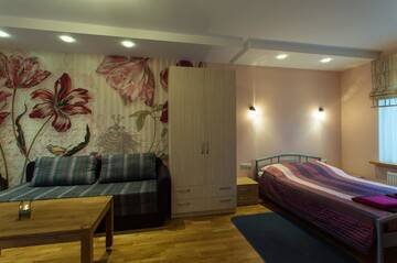 Фото номера Birutes street 4 - Апартаменты-студио Апартаменты Abariaus Apartamentai г. Друскининкай 2