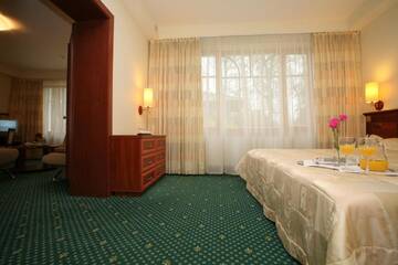 Фото номера Люкс, посещение сауны и пользование гидромассажной ванной Отель Hotel Violeta г. Друскининкай 5