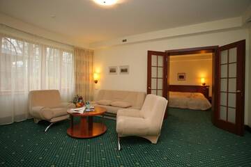 Фото номера Люкс, посещение сауны и пользование гидромассажной ванной Отель Hotel Violeta г. Друскининкай 8
