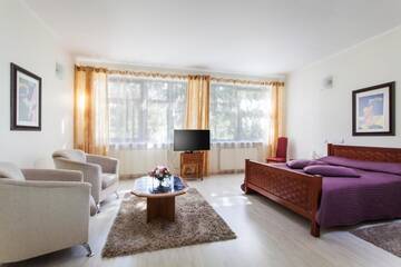 Фото номера Двухместный номер с 1 кроватью Гостевой дом Mineraliniai Apartamentai г. Друскининкай 3