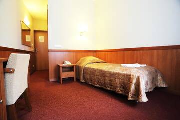 Фото номера Одноместный номер с балконом Отель Pusynas Hotel &amp; SPA Druskininkai г. Друскининкай 4