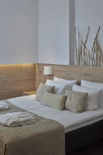 Фото номера Номер Делюкс Джуниор с доступом в спа-центр Отель SPA VILNIUS Druskininkai г. Друскининкай 3